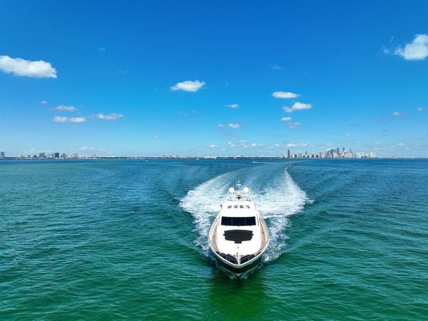 Leopard 101 | Venture