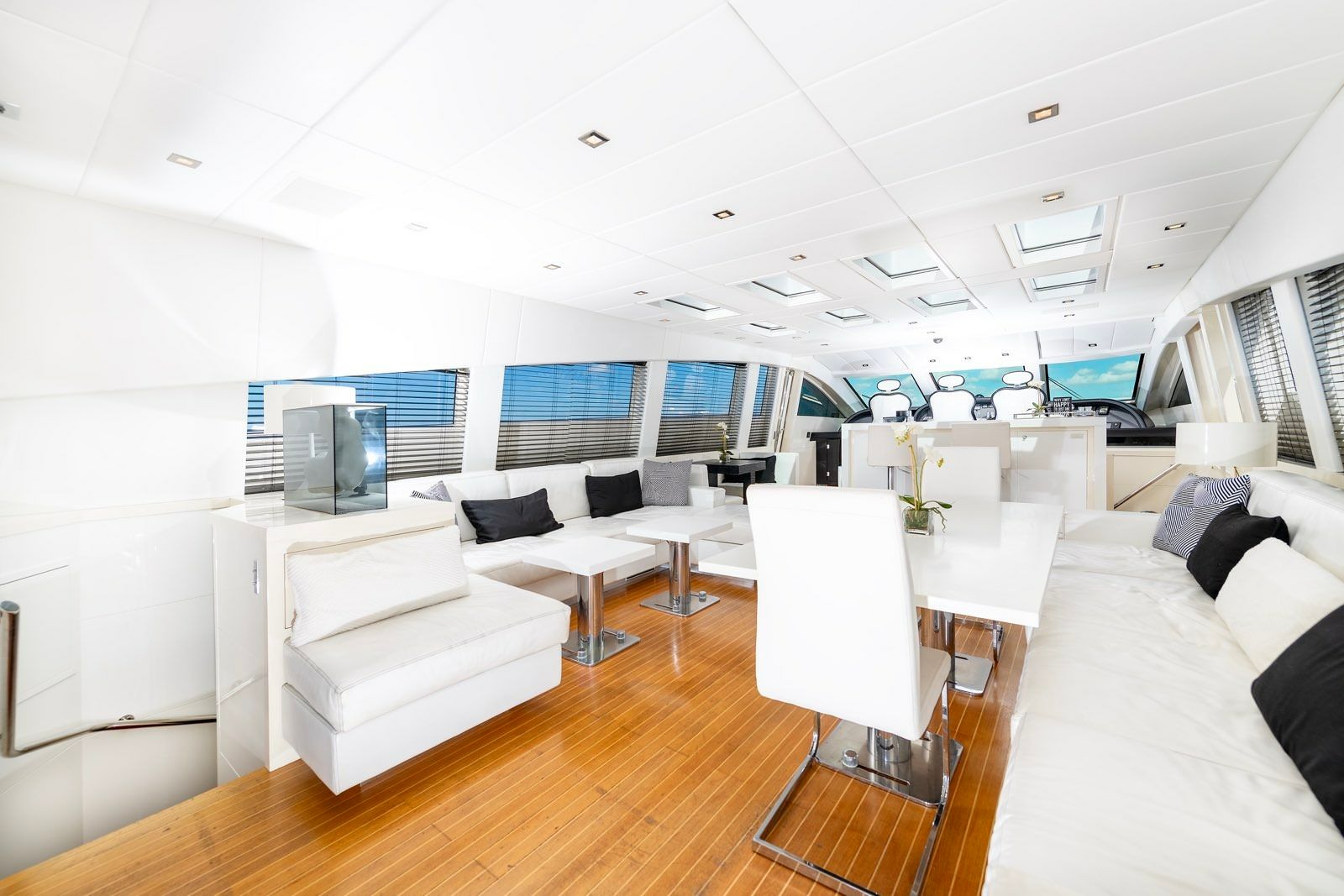 Leopard 101 | Venture