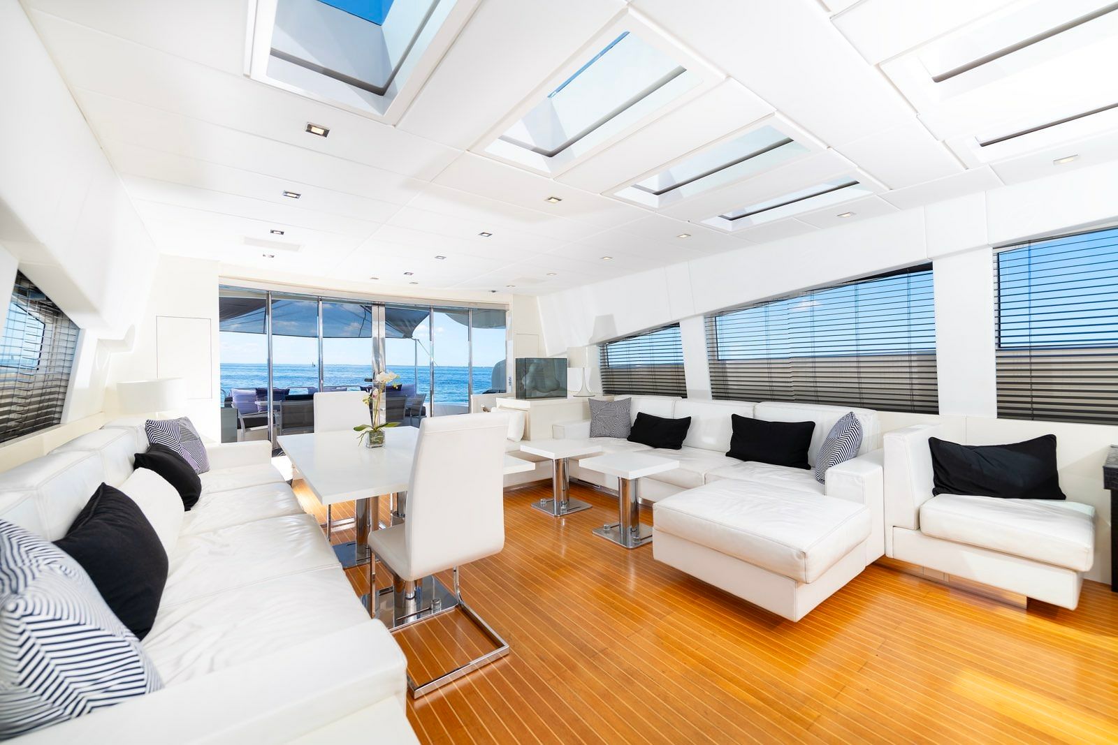 Leopard 101 | Venture