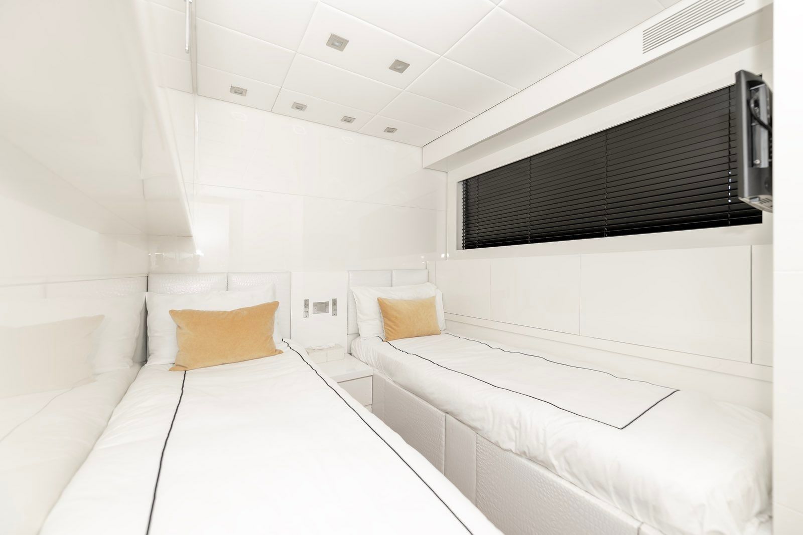 Leopard 101 | Venture