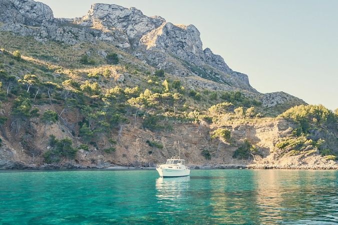 Chris Craft 31 | Chris Craft 31 Commander