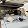 Azimut 60 | Adelita