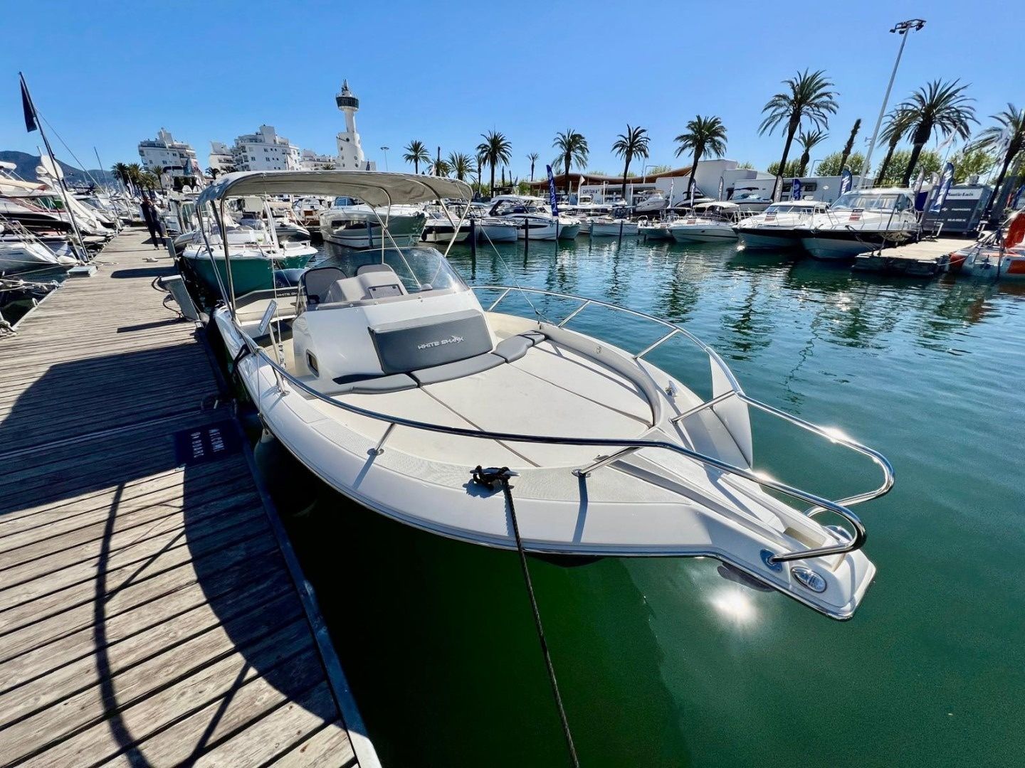 White Shark 240 | 2025