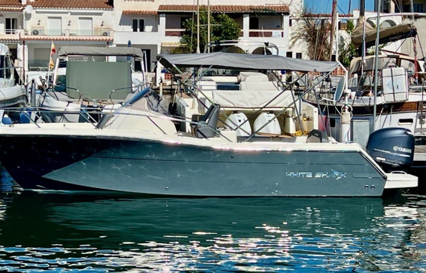 White Shark 240 | 2025