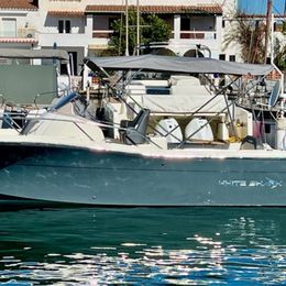 White Shark 240 | 2025