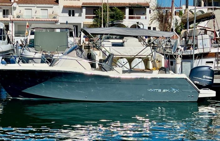White Shark 240 | 2025