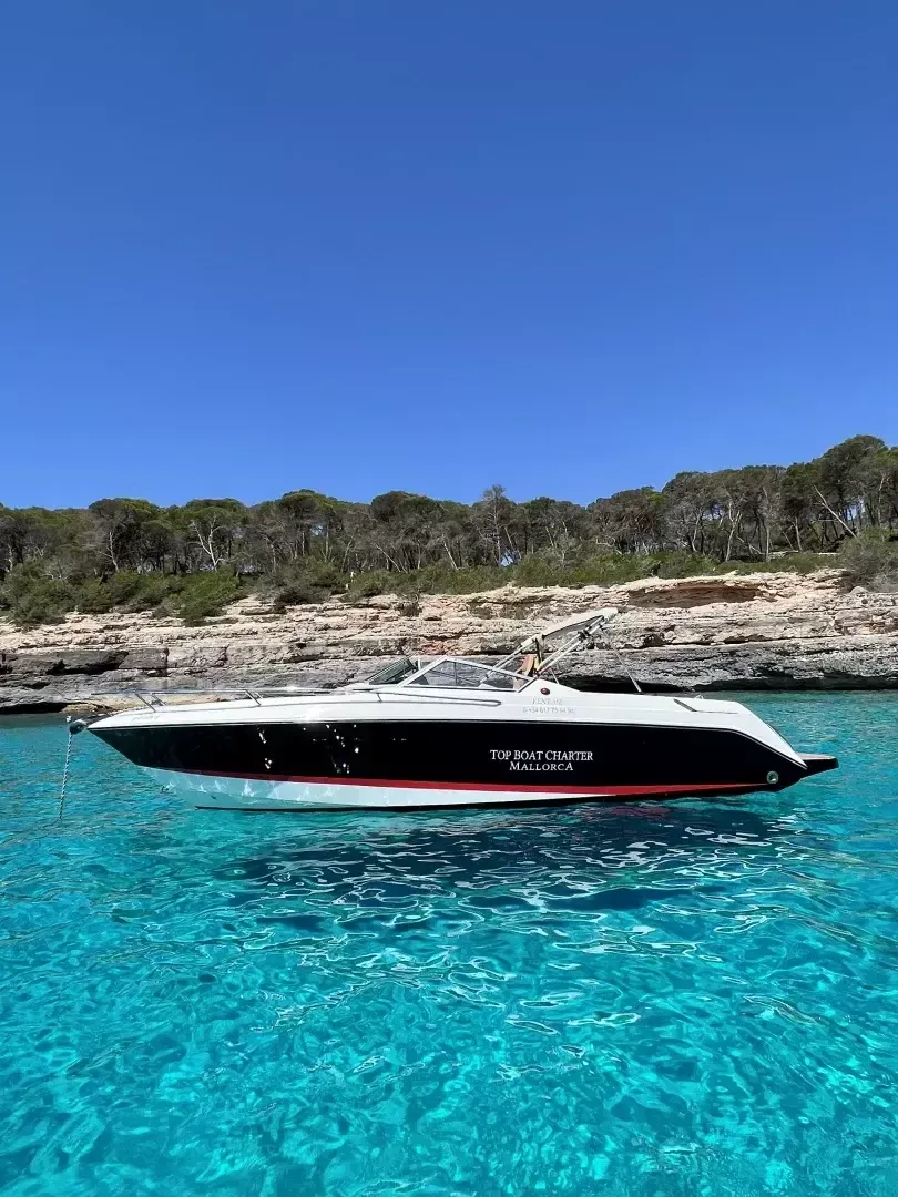 Wellcraft 8 | Eclipse