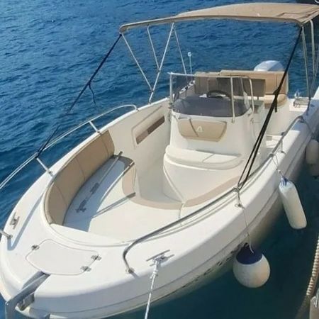 Allegra 21 | Princess Kate