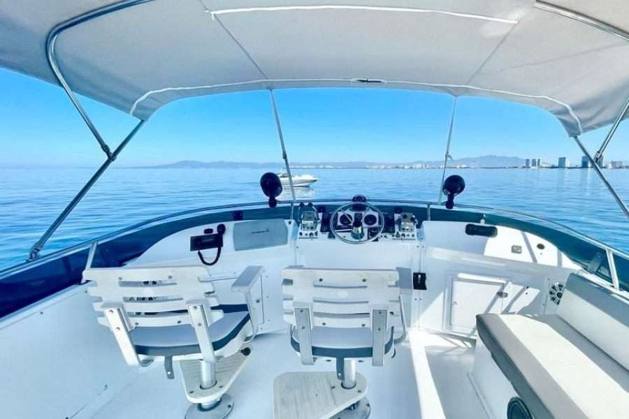 Carver 50 | Happy Hour