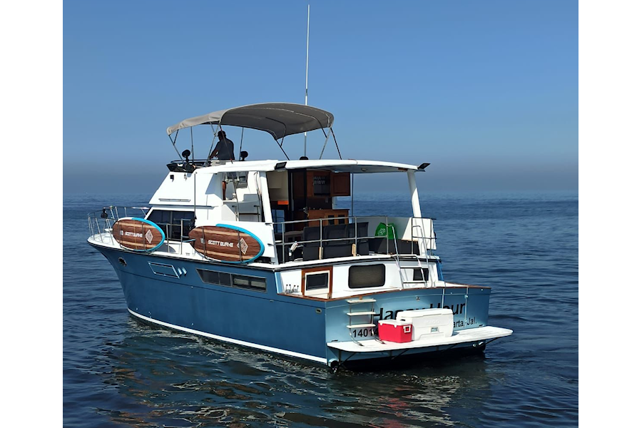 Carver 50 | Happy Hour