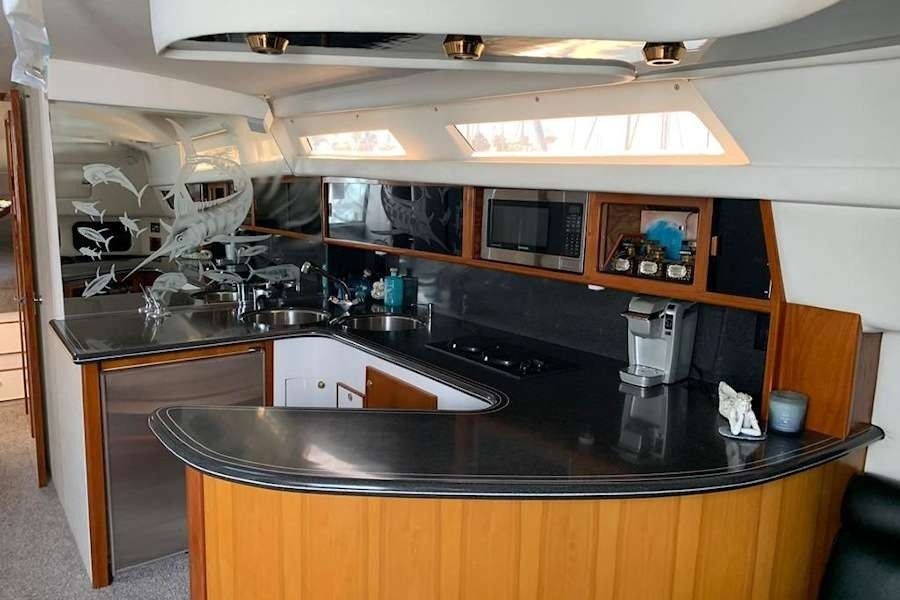 Sea Ray 460 | The King