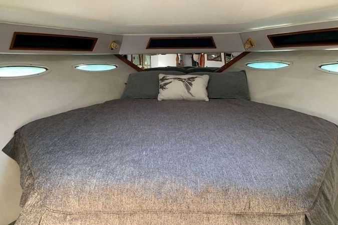 Sea Ray 460 | The King