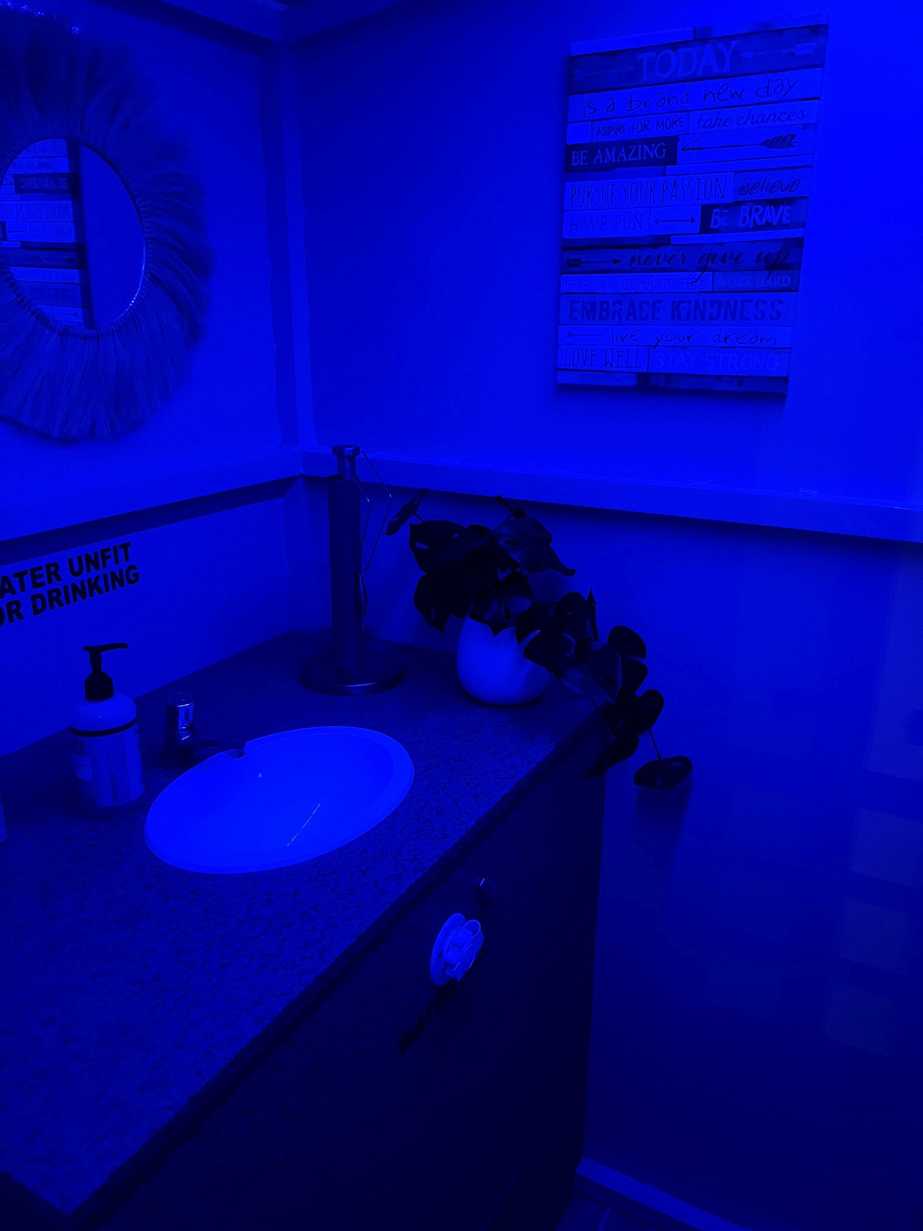 Trident 3012 | Moana 3