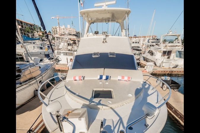 Viking 40 | Reel Dreams