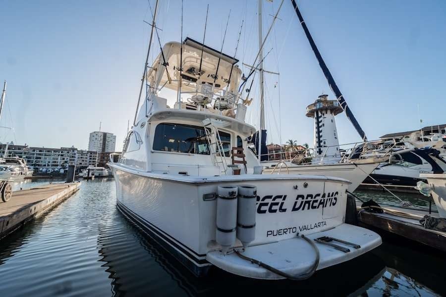 Viking 40 | Reel Dreams