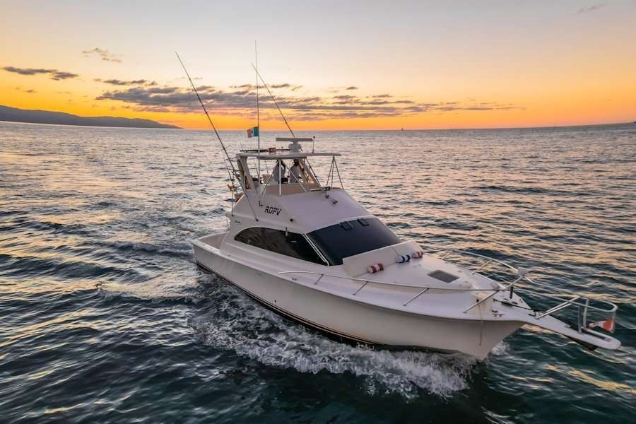 Viking 40 | Reel Dreams