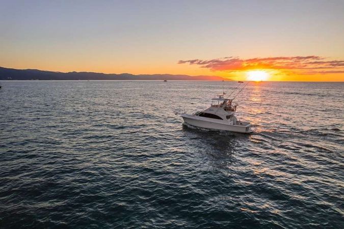 Viking 40 | Reel Dreams