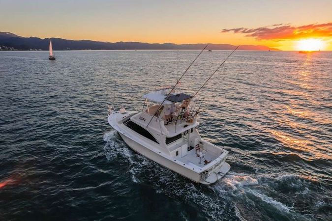 Viking 40 | Reel Dreams