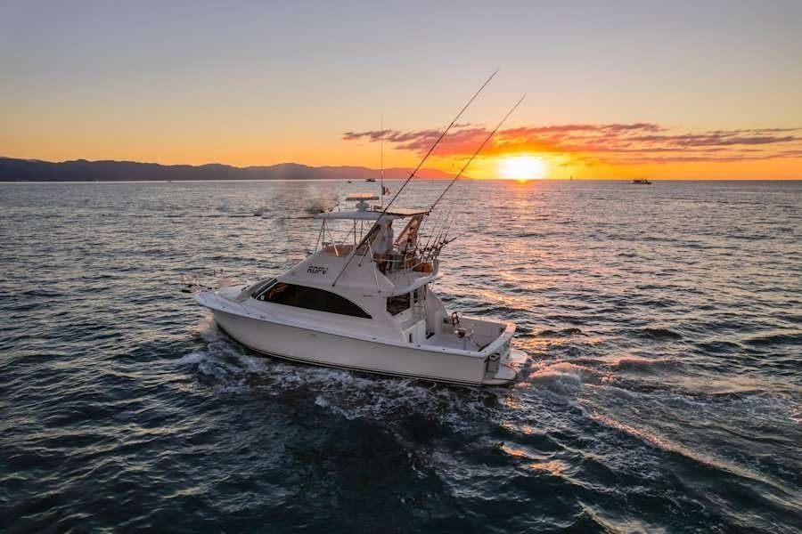 Viking 40 | Reel Dreams