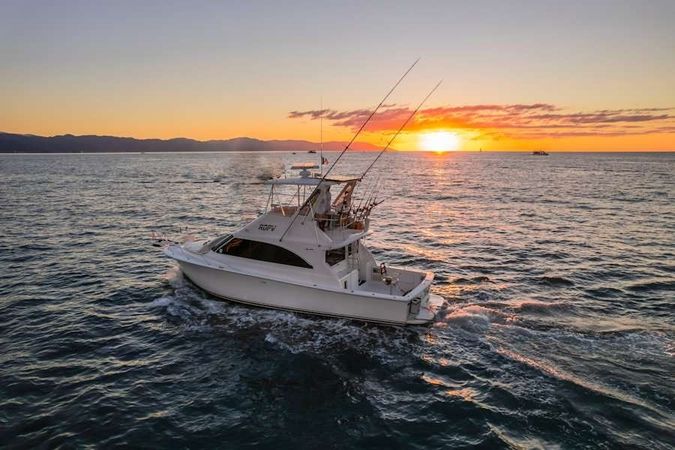 Viking 40 | Reel Dreams