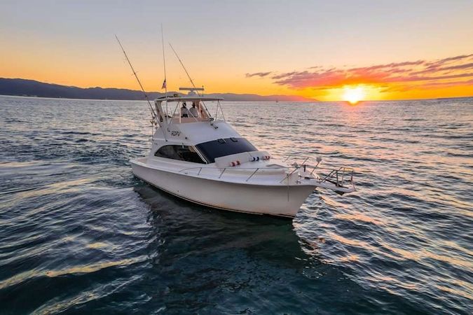 Viking 40 | Reel Dreams