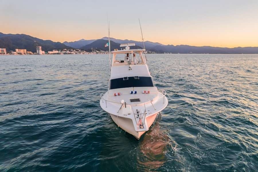 Viking 40 | Reel Dreams