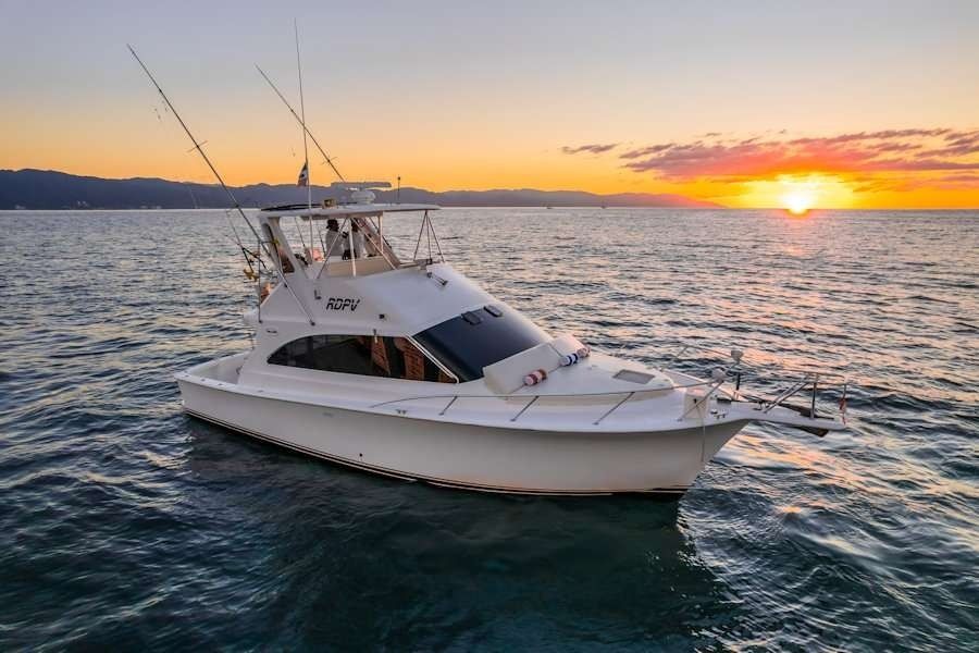 Viking 40 | Reel Dreams