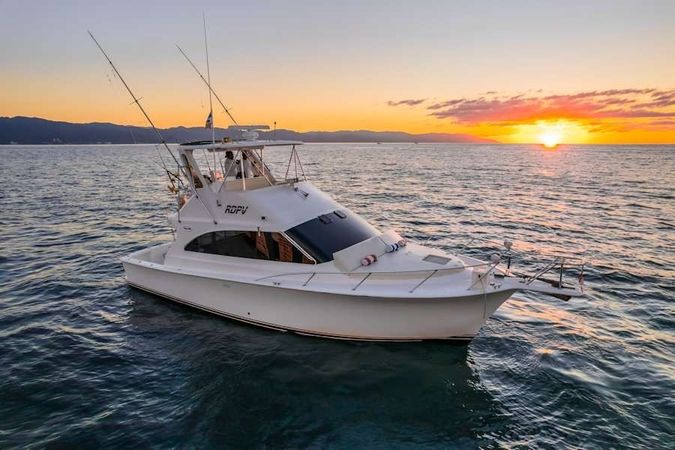 Viking 40 | Reel Dreams