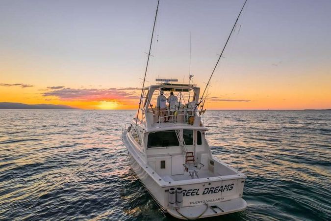 Viking 40 | Reel Dreams