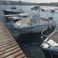 Quicksilver Activ 555 | Dalmatino