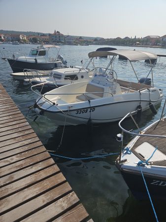 Quicksilver Activ 555 | Dalmatino