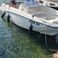 Quicksilver Activ 555 | Dalmatino