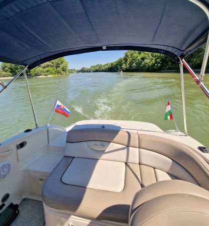 Sea Ray 200 | Vanessa