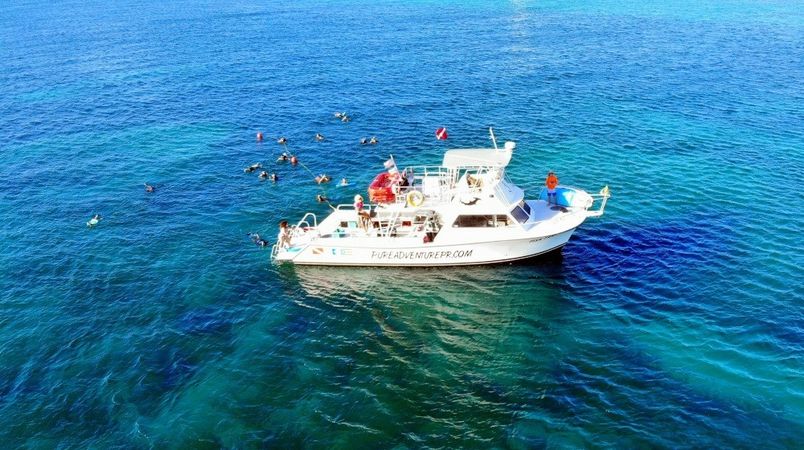 Newton 51 | Fish Tank