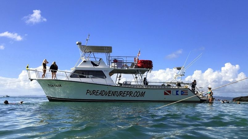 Newton 51 | Fish Tank