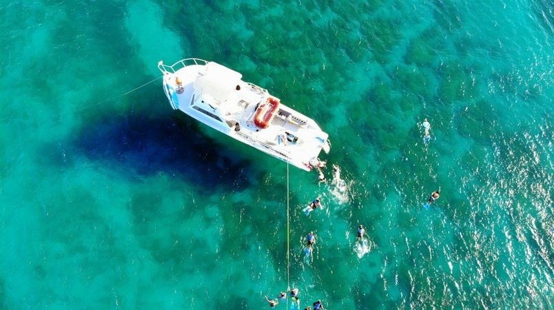 Newton 51 | Fish Tank