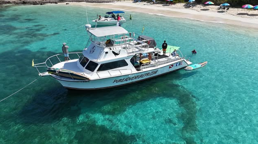 Newton 51 | Fish Tank