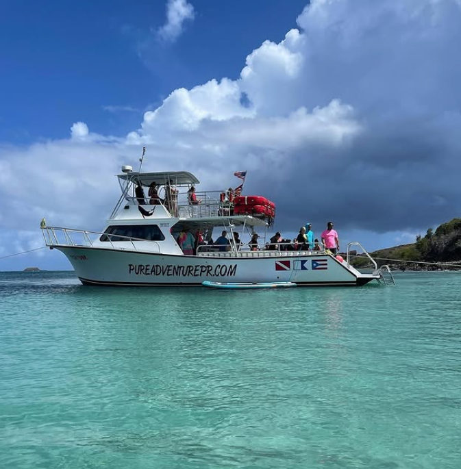 Newton 51 | Fish Tank