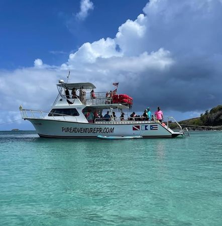 Newton 51 | Fish Tank