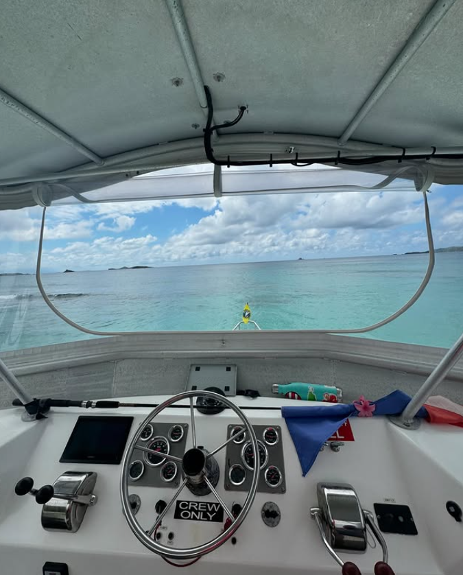 Newton 51 | Fish Tank