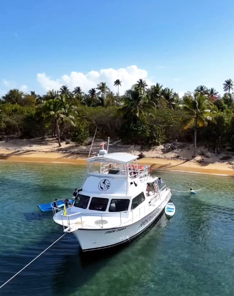 Newton 51 | Fish Tank