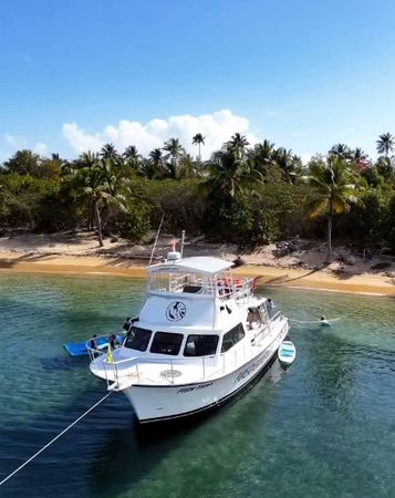 Newton 51 | Fish Tank