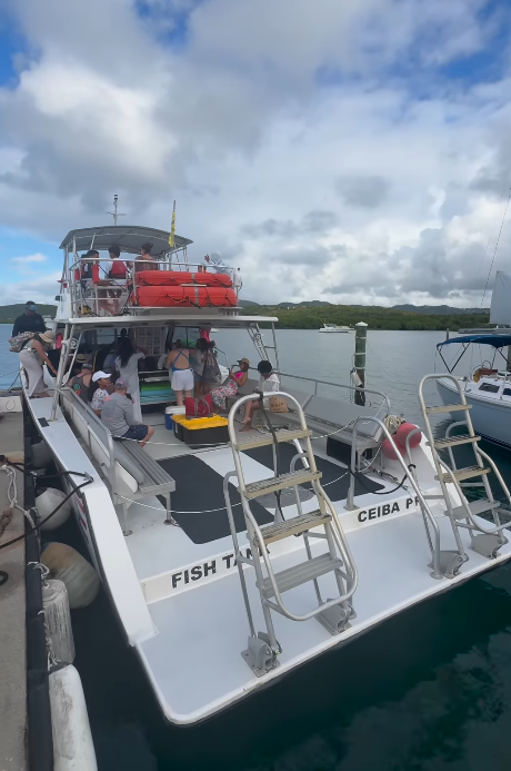 Newton 51 | Fish Tank