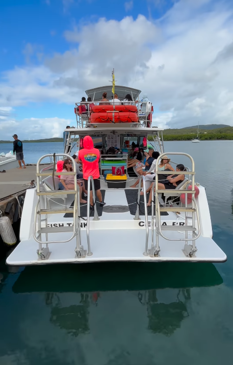 Newton 51 | Fish Tank