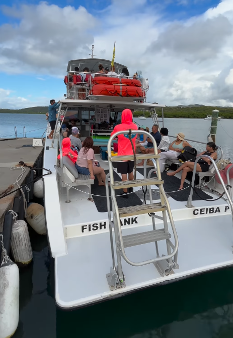 Newton 51 | Fish Tank