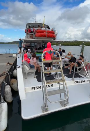 Newton 51 | Fish Tank