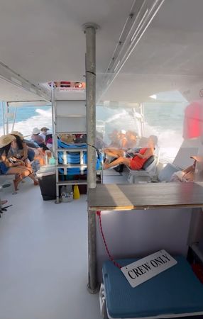 Newton 51 | Fish Tank