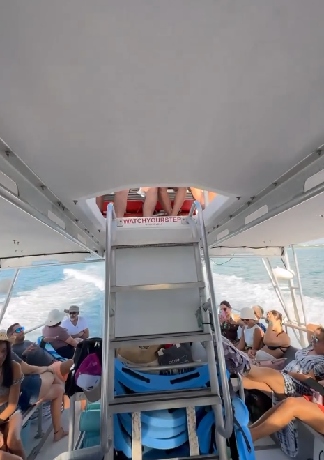 Newton 51 | Fish Tank