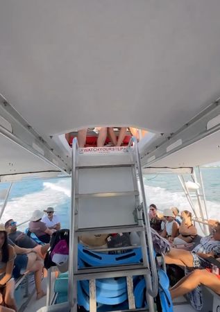 Newton 51 | Fish Tank