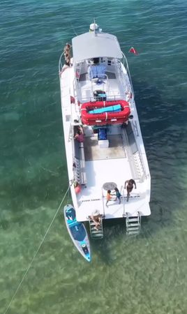 Newton 51 | Fish Tank